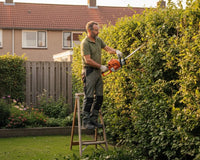 When to Trim Hedges: Best Timing, Tips & Tools Batavia