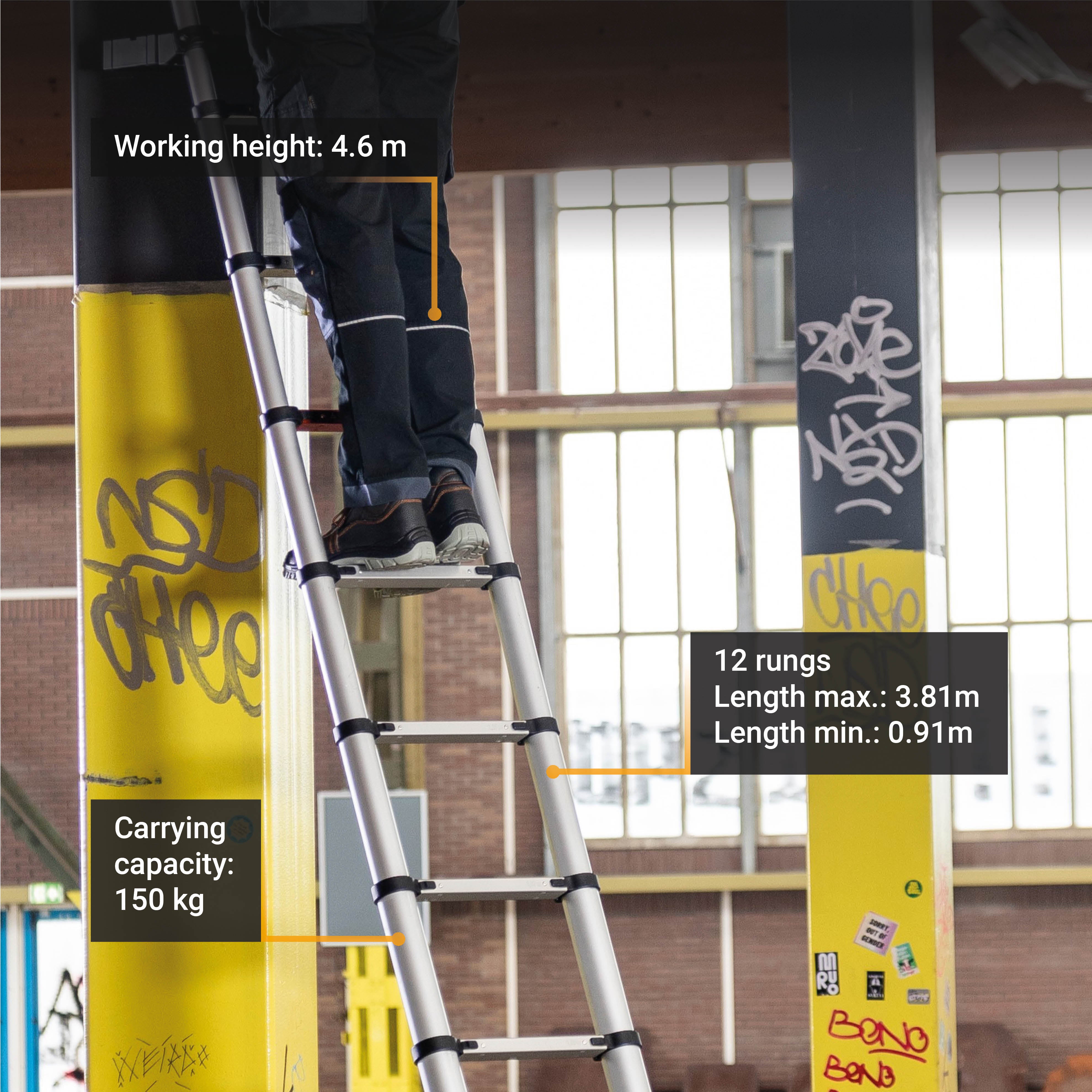 Telescopic Ladder 3.81m Professional