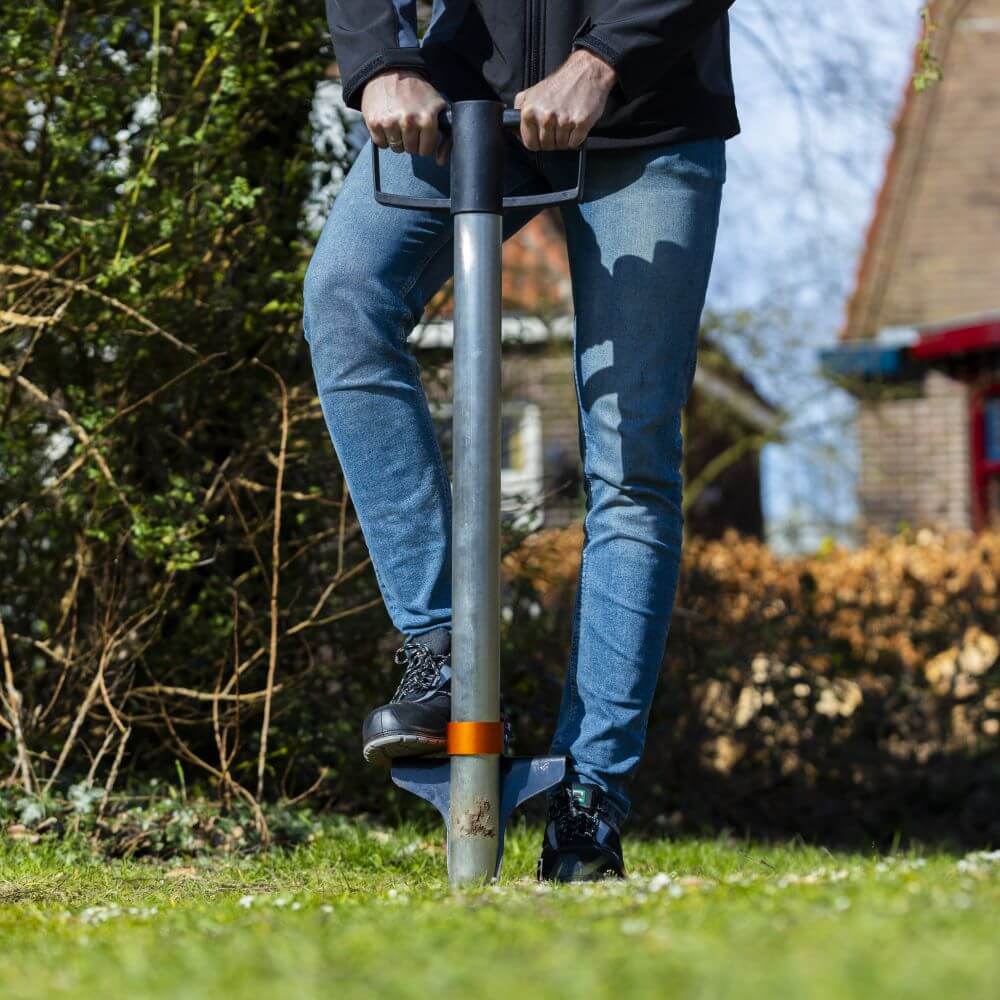 Bollenplanter