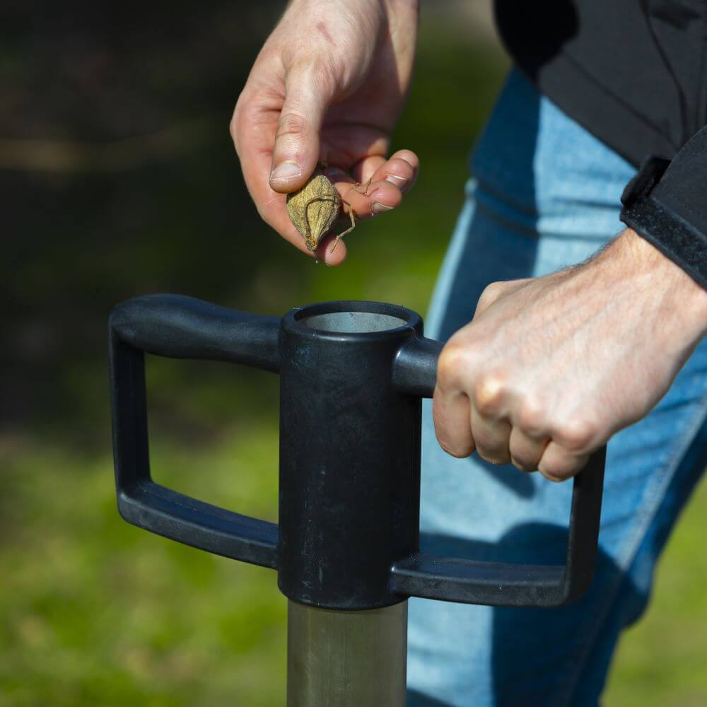 Bollenplanter