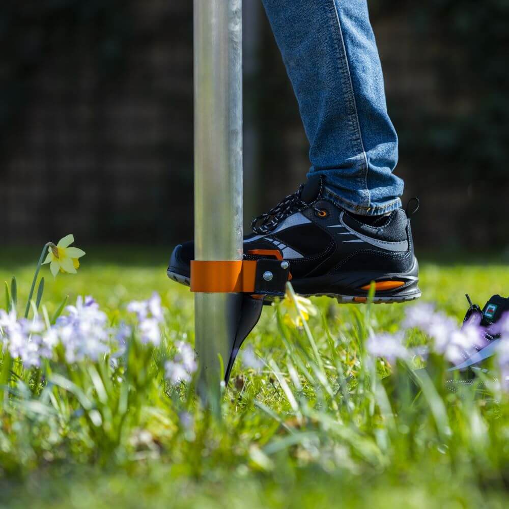 Bollenplanter