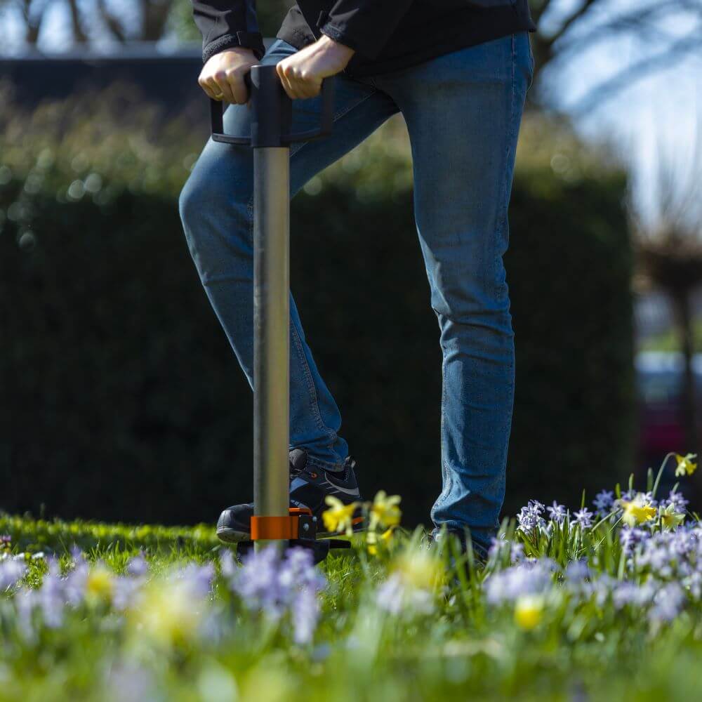 Bollenplanter