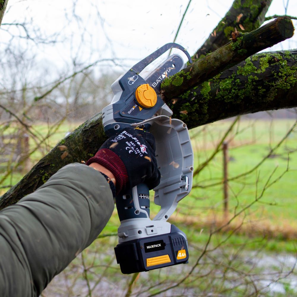 18V Pruning Power Set - Incl. 2Ah Accu en 2.4A Oplader