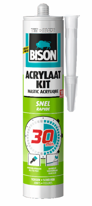 Bison Mastic Acrylique Rapide 30 minutes Blanc Tube 300 ml